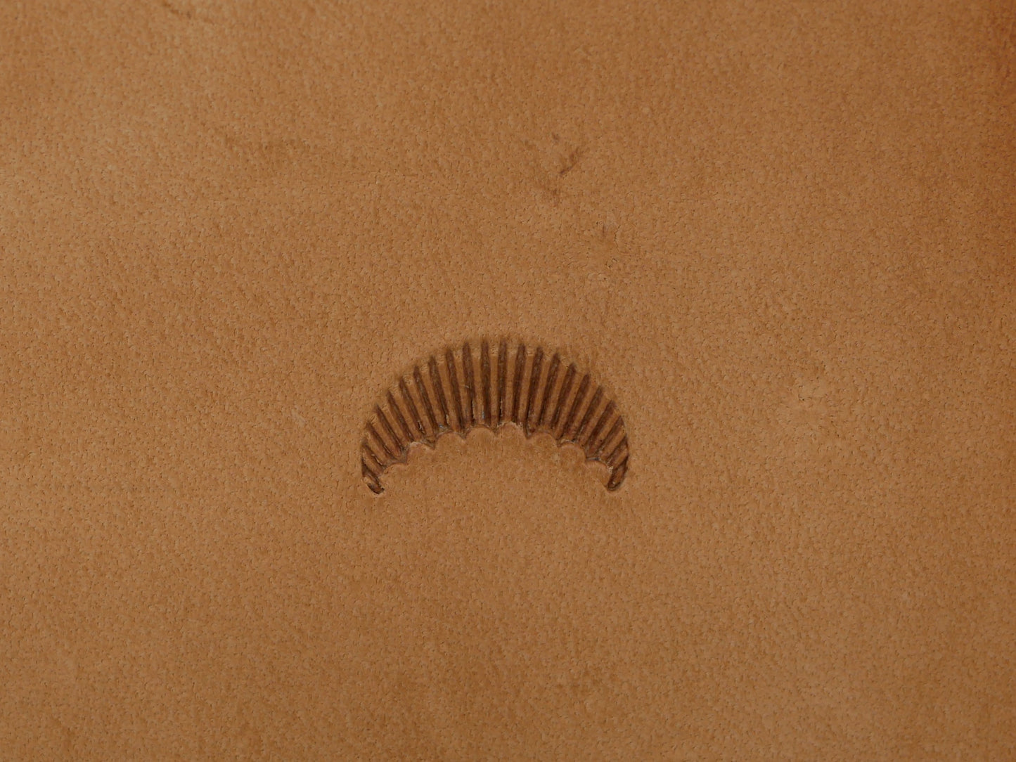 SS Fluted Camouflage