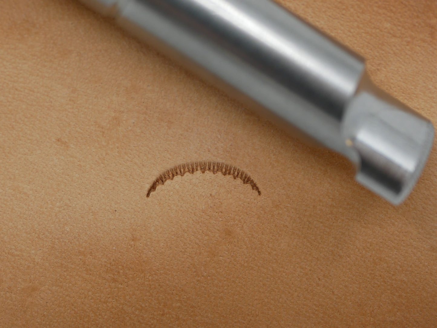 SS Lined & Scalloped Veiner