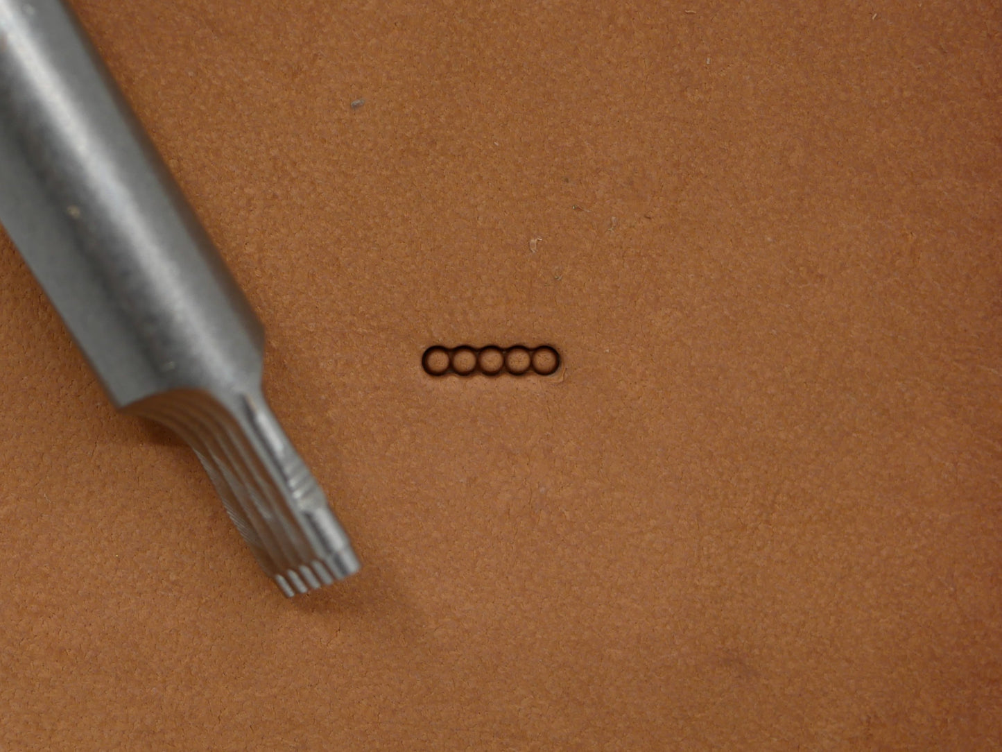 SS 5-Hole Bar Grounder