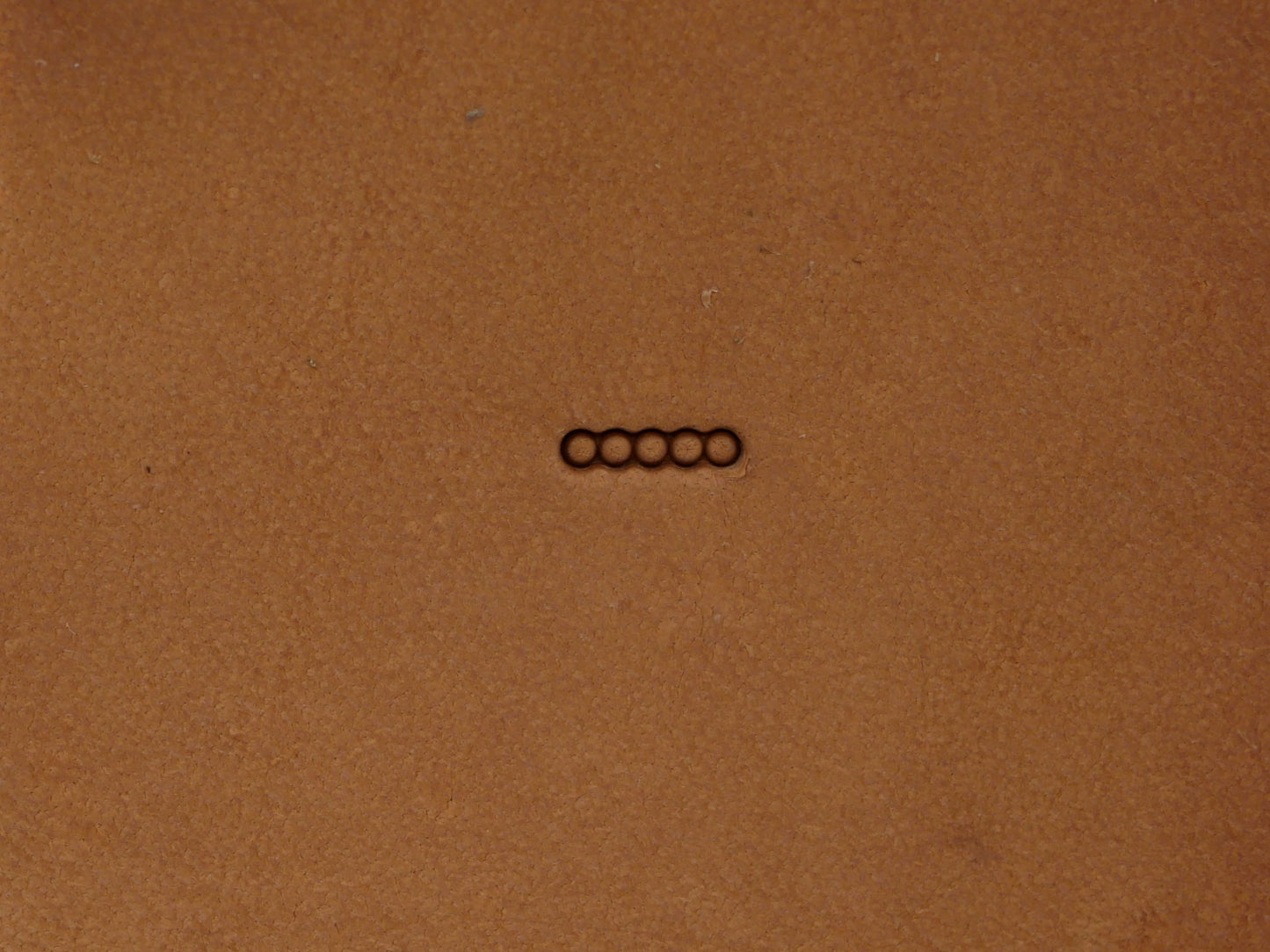 SS 5-Hole Bar Grounder