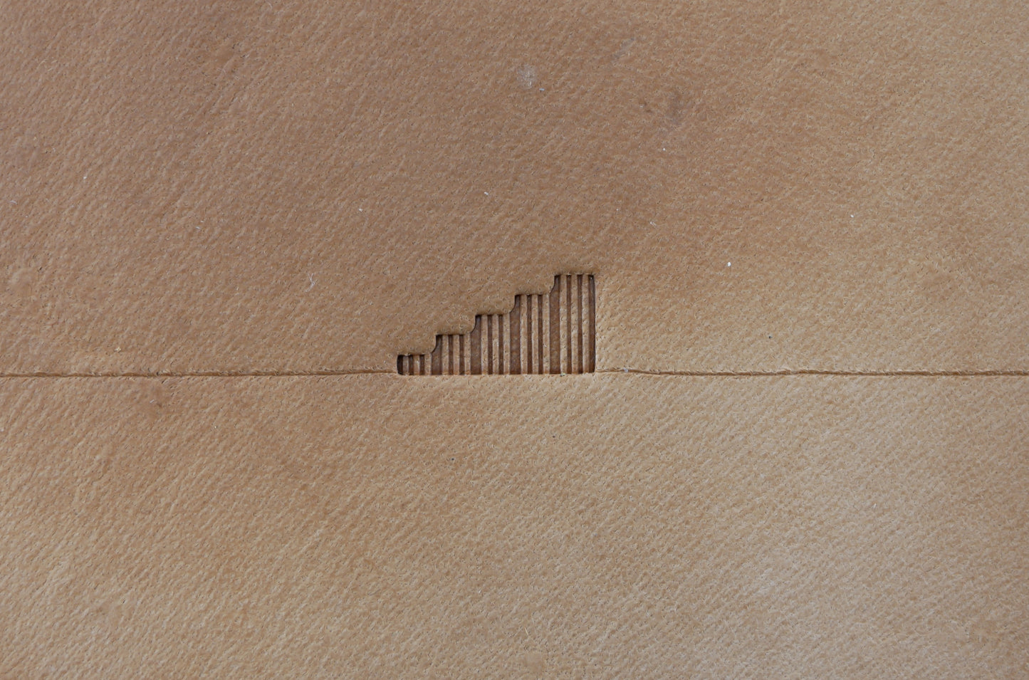 Aztec Serpentine Border B271