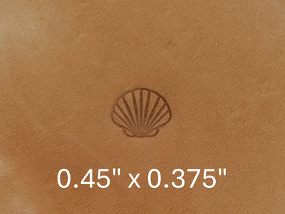 Seashell B319