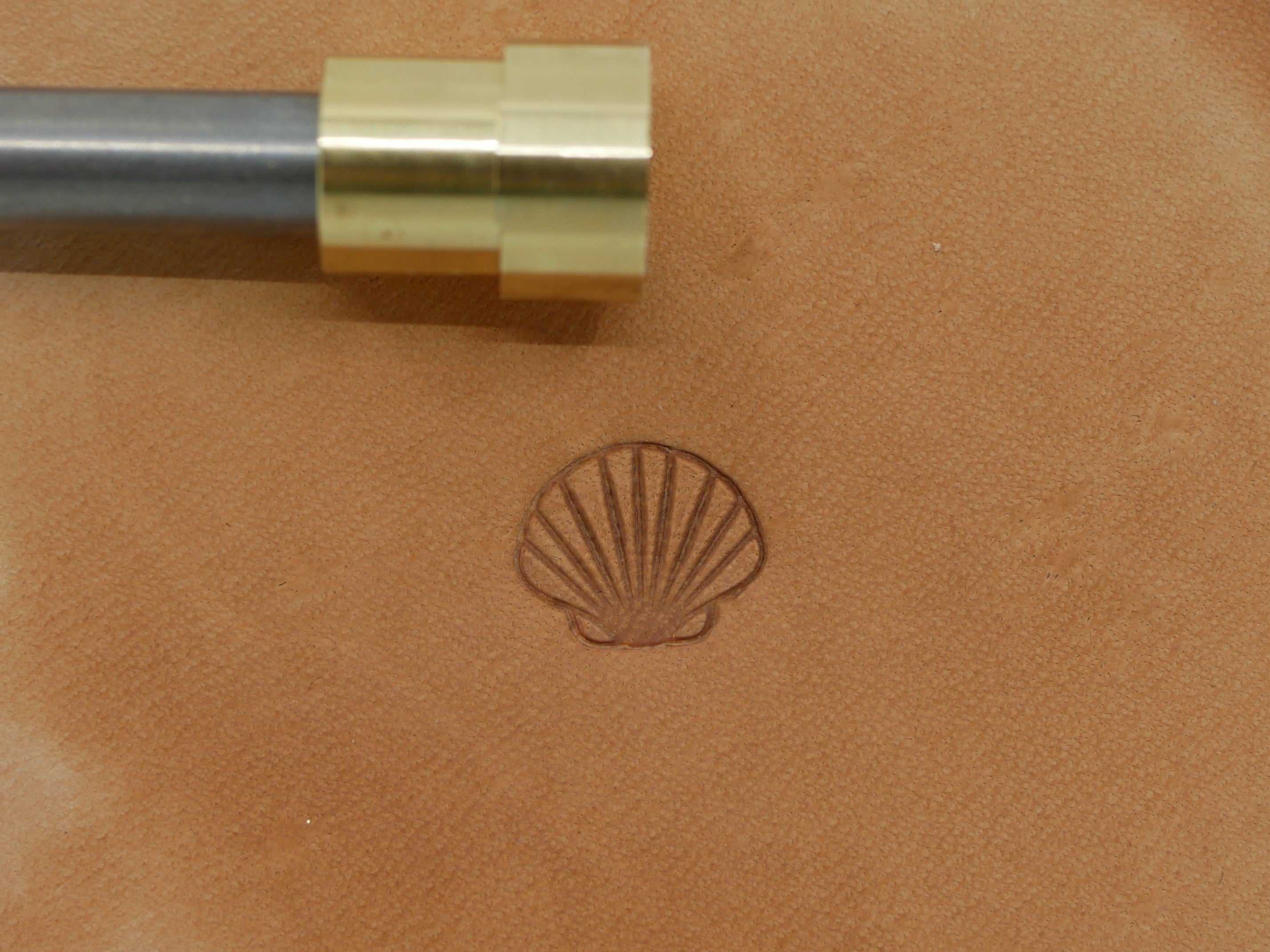 Sea Shell Tools Seashell B319 – TexasLeatherTools