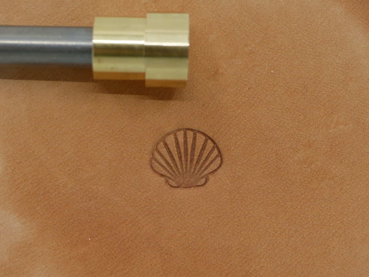 Seashell B319
