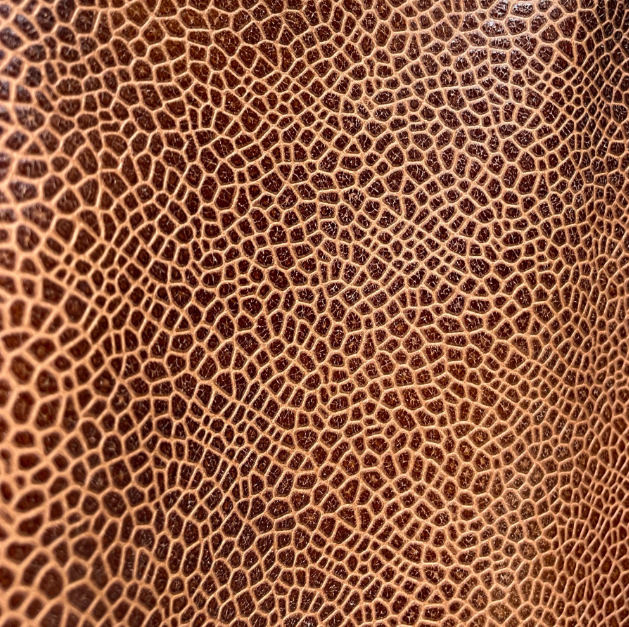 Marrakesh Leather Collection