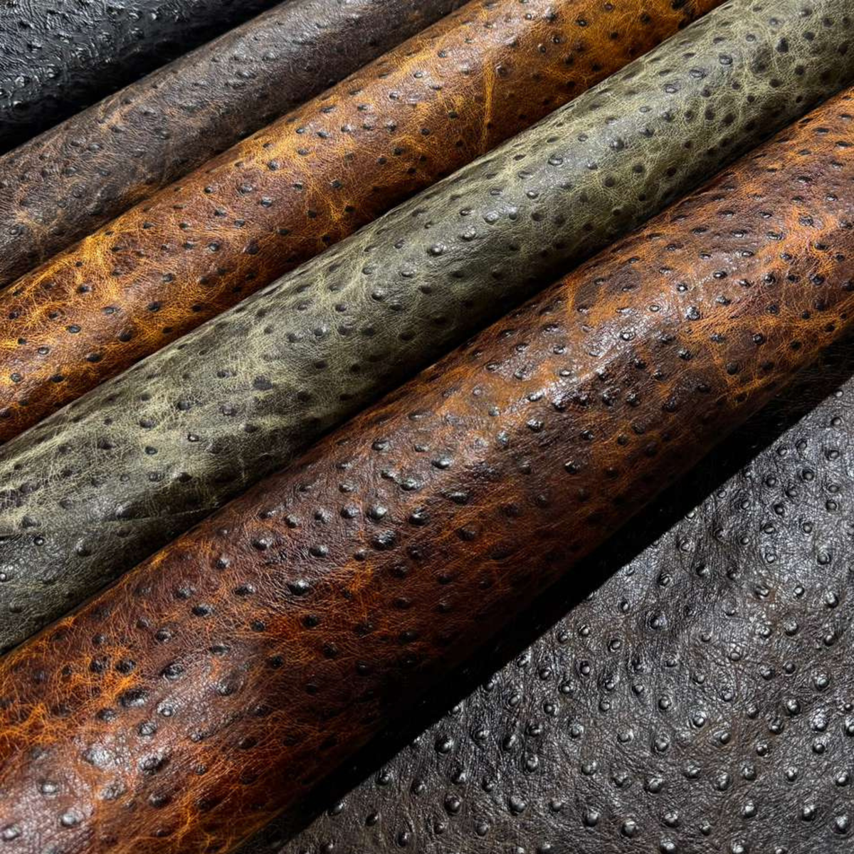 Emboss Ostrich Struzzo Collection