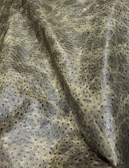 Emboss Ostrich Struzzo Collection