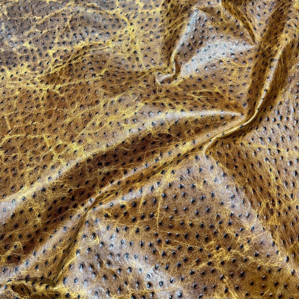 Emboss Ostrich Struzzo Collection