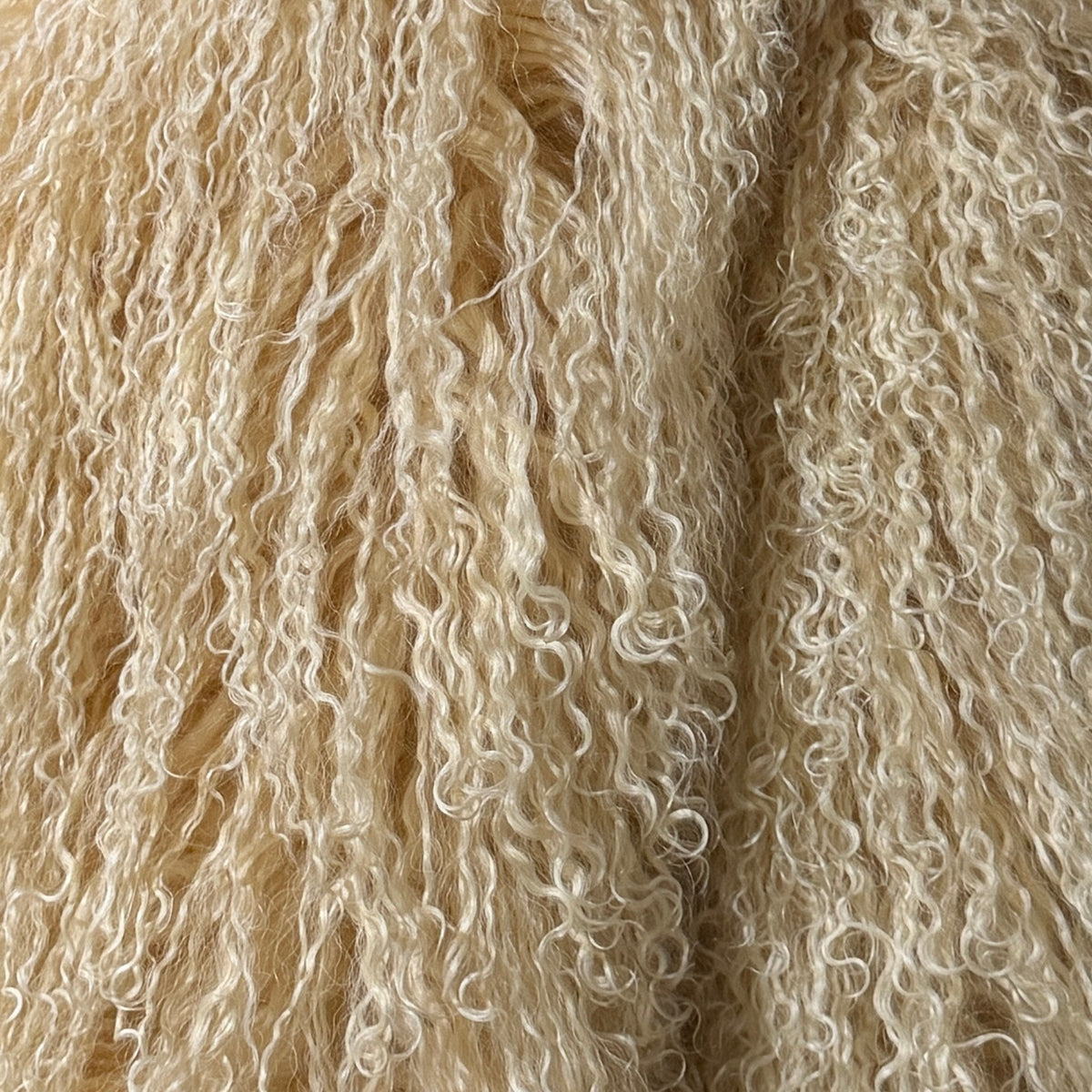 Tibetan Lamb Collection