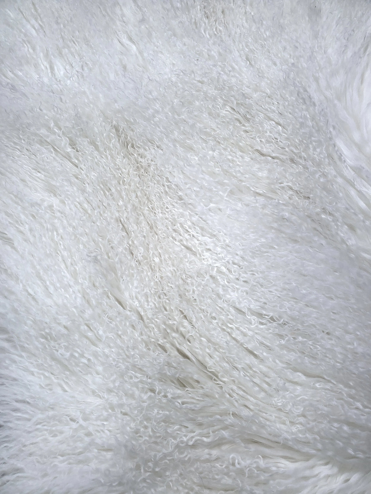 Tibetan Lamb Collection