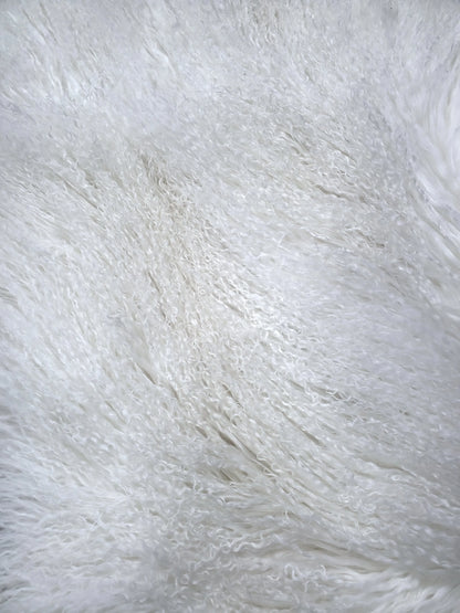 Tibetan Lamb Collection