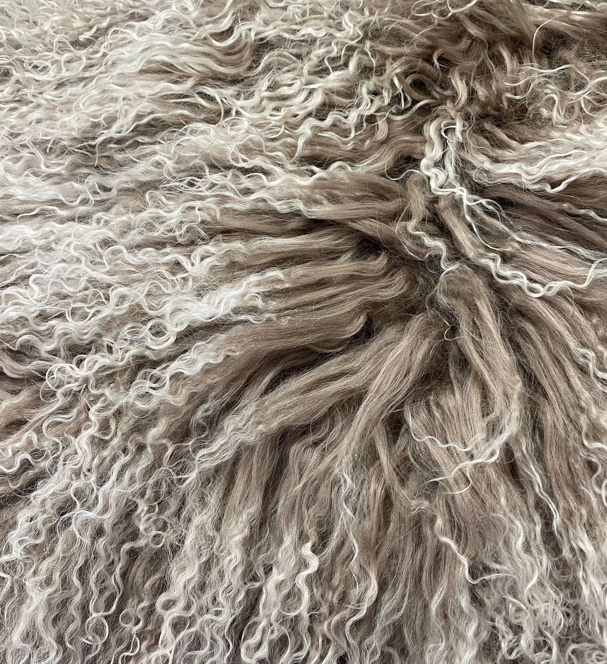 Tibetan Lamb Collection