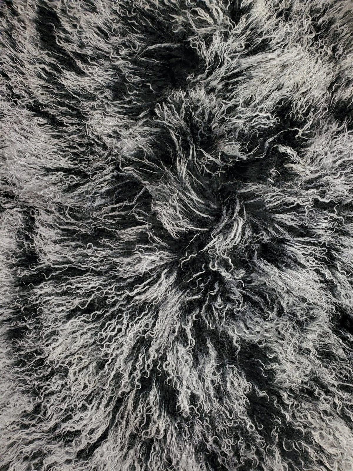 Tibetan Lamb Collection