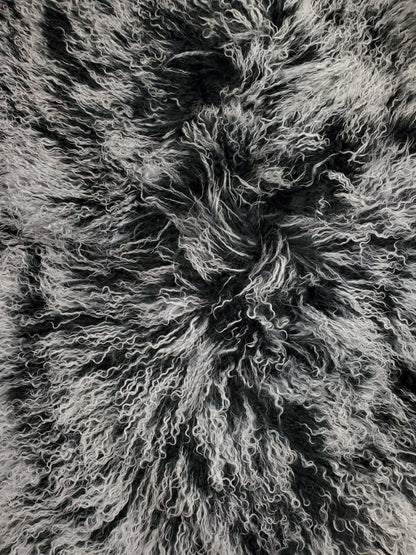 Tibetan Lamb Collection