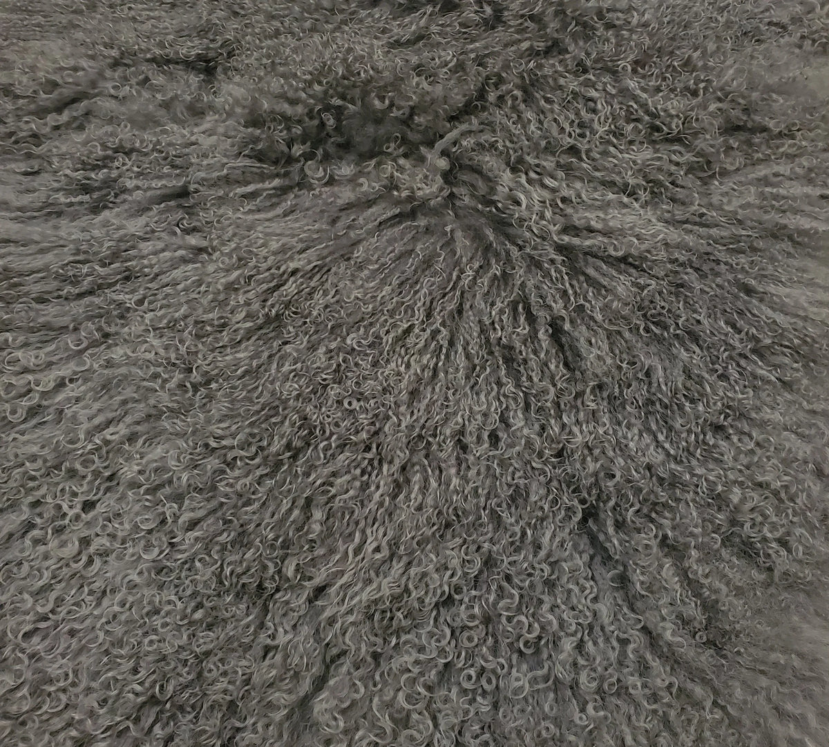 Tibetan Lamb Collection