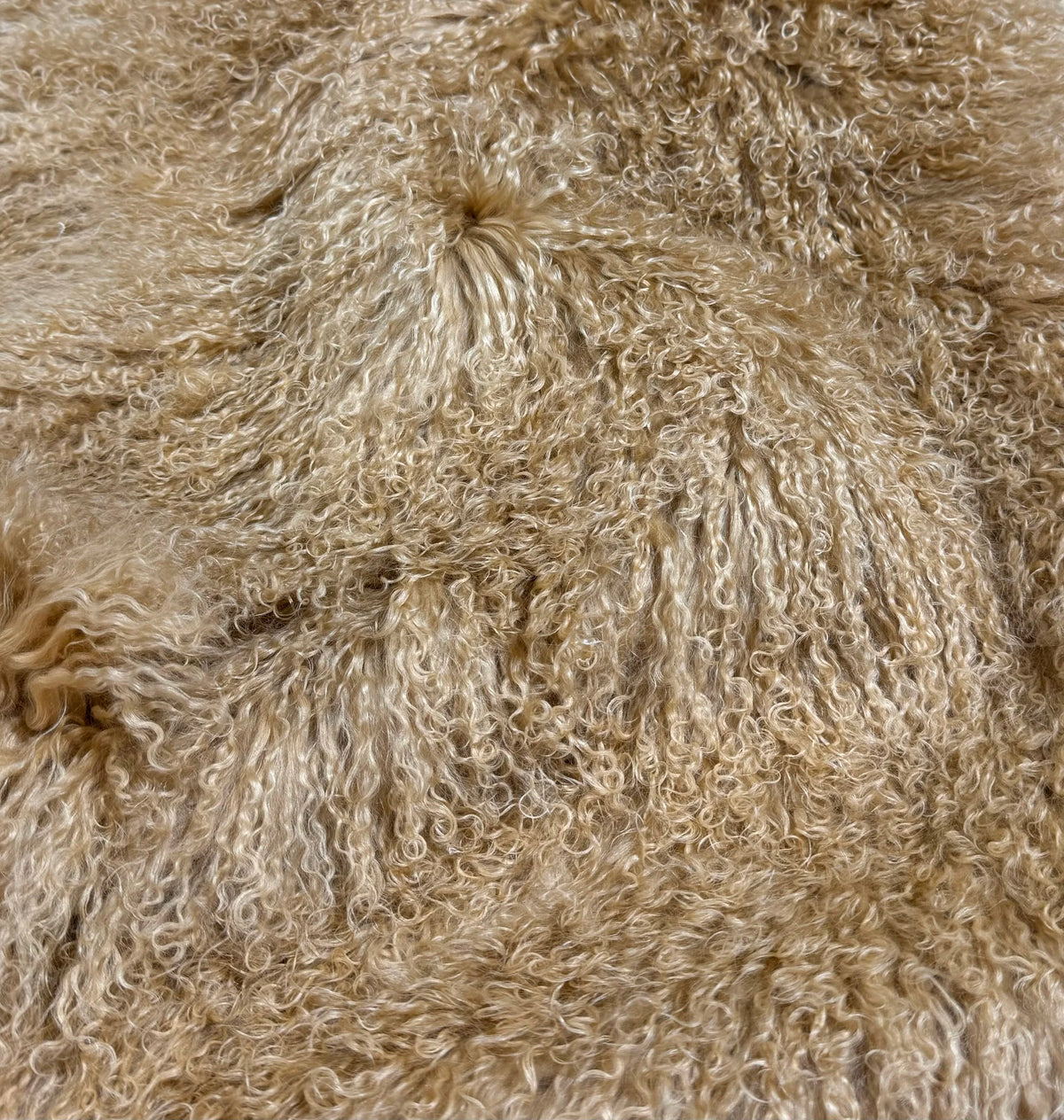 Tibetan Lamb Collection
