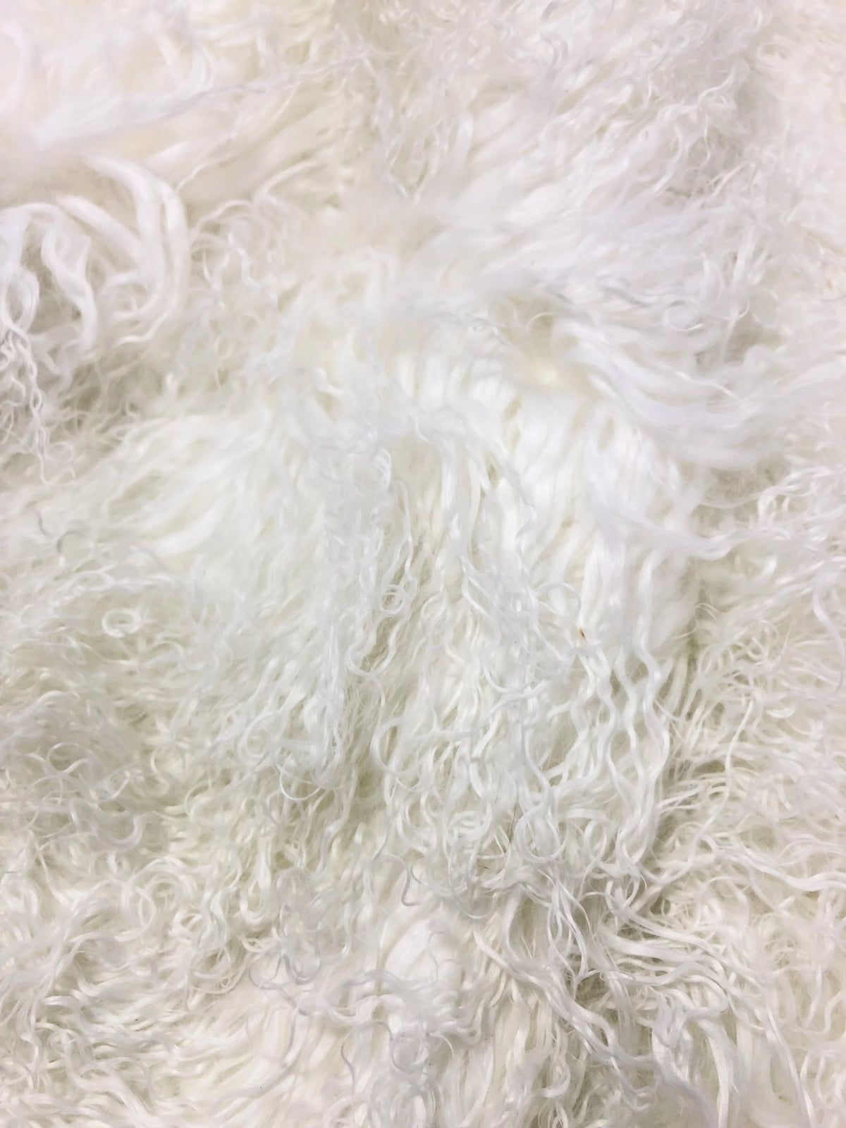 Tibetan Lamb Collection