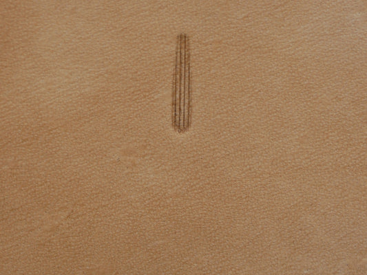 SS Vertical Thumbprint
